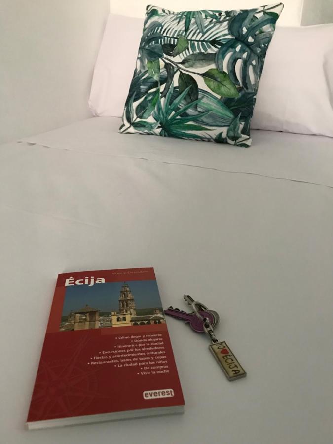 La Casa En El Centro Hotel Ecija Luaran gambar